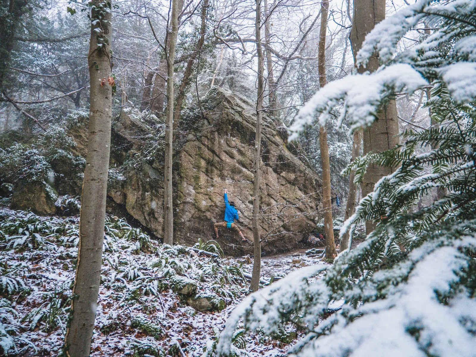 Sally In the Woods - Bath - Alex Everest - 2021